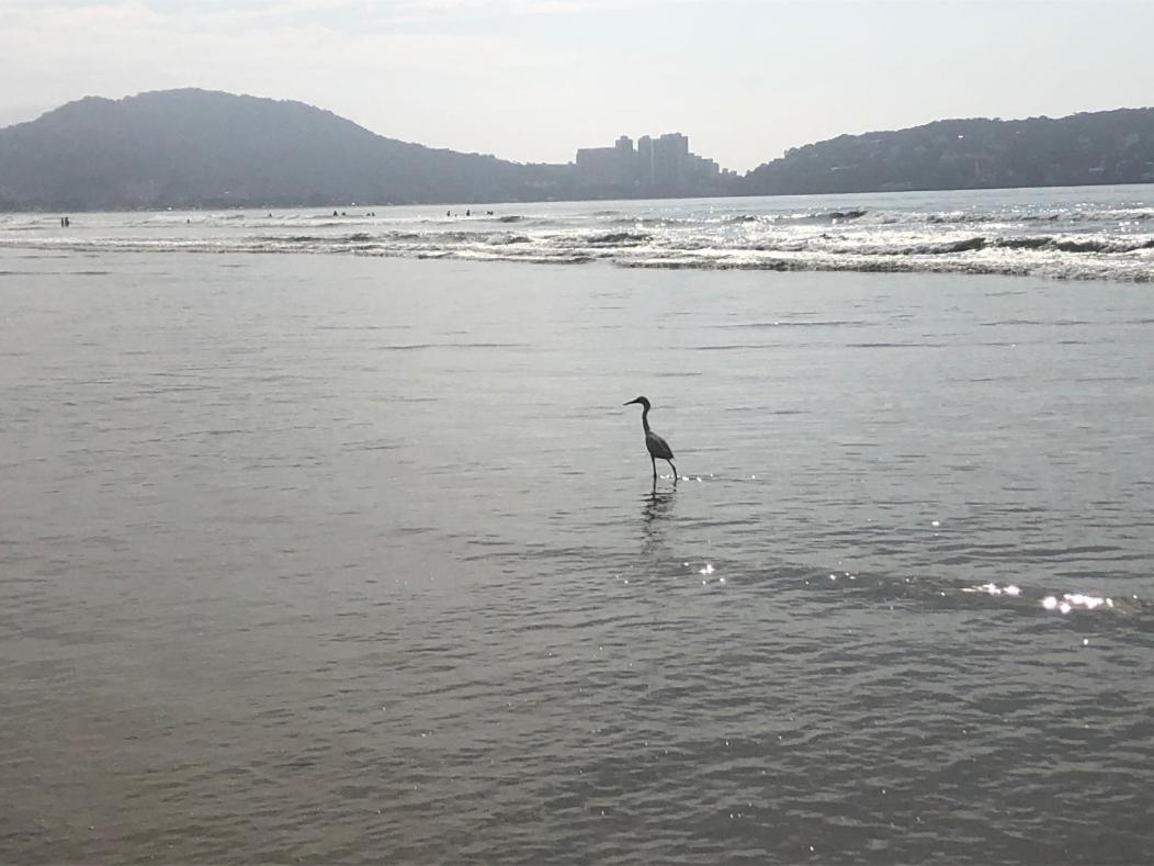 3 No Guaruja, Proximo Ao Aquario! Sinta-se Em Casa! * Guaruja